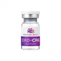 피부 엑소좀 5개